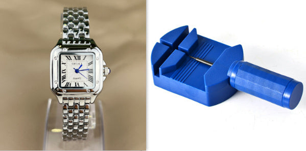 Steel Strip Roman Scale Watch Just NoNy